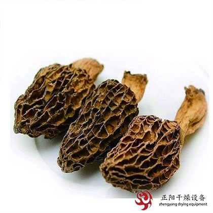 羊肚菌、猴頭菇、茶樹菇