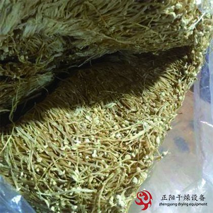 金針菇、杏鮑菇