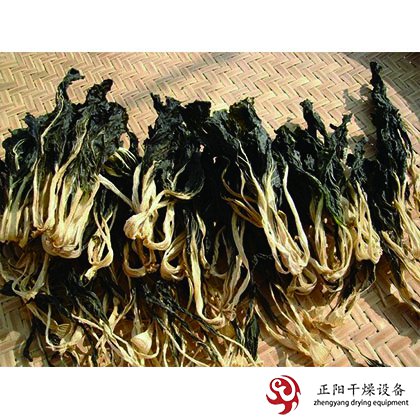 白菜、生菜