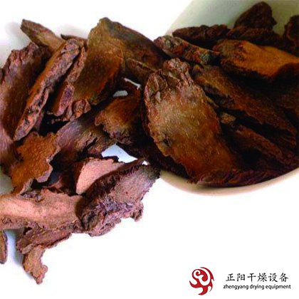  凍干機(jī)凍干果蔬
