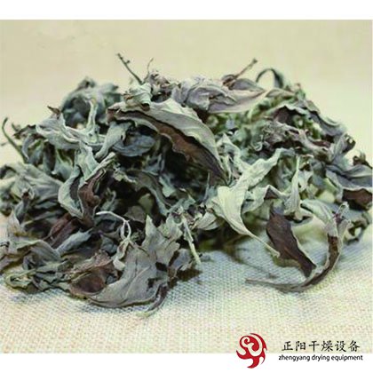 艾草、益母草、茯苓