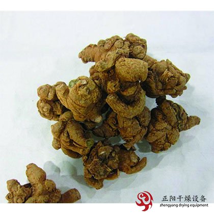 田七、白芷、芍藥、白術(shù)