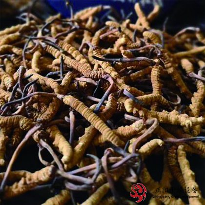  烘干機助腐竹安全生產(chǎn)