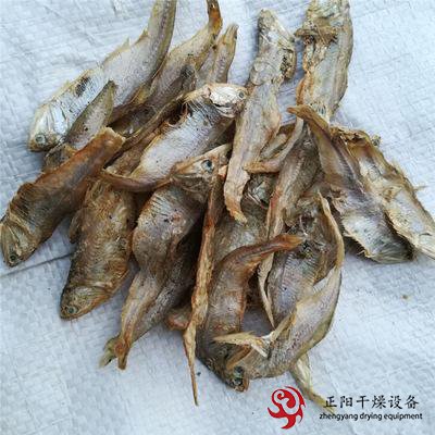 魚干小蝦烘干